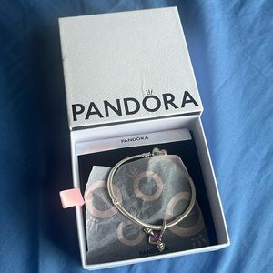 Pandora Bracelet
